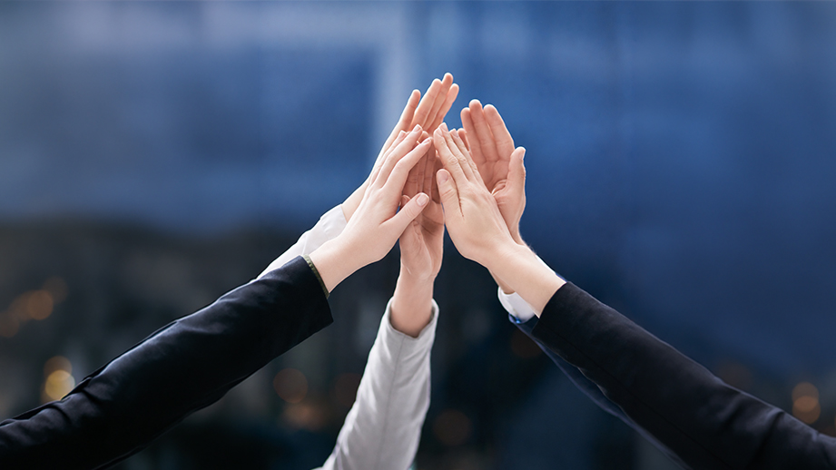 We Are an Agile Team
