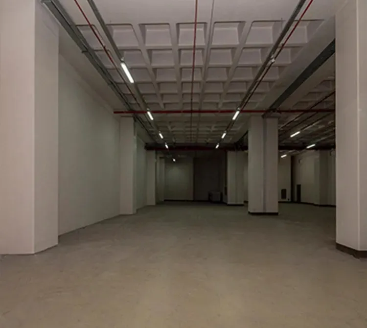 A SINGLE STRUCTURE WITHOUT AN ALTERNATIVE