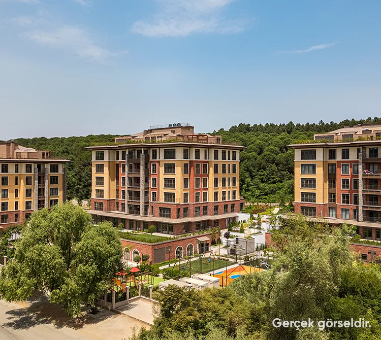 A LIFE IN NATURE, NEIGHBORING THE FOREST