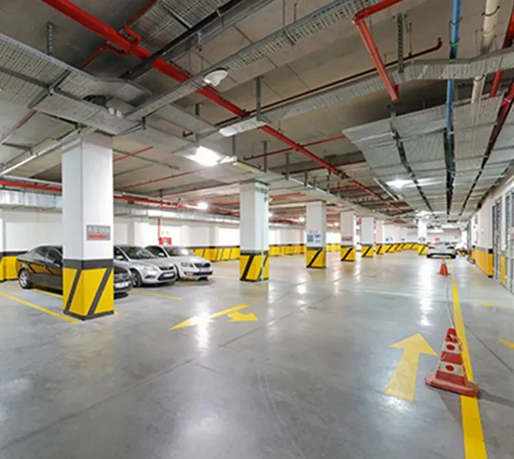 LICENSE AND OCCUPANCY