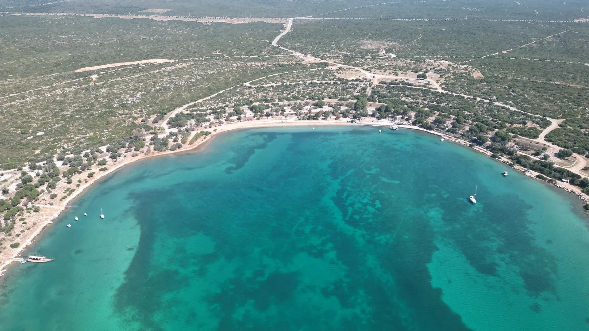 Aydın Didim Projesi